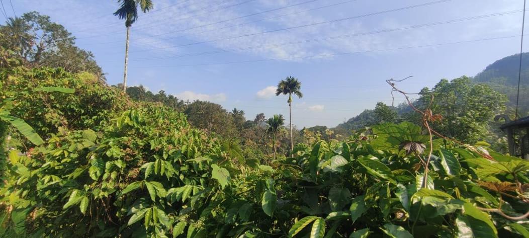 Riya Home Stay Munnar Anaviratty ภายนอก รูปภาพ